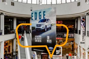 Aves en centros comerciales