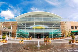 Comunicados y Protocolos de seguridad de Galerías